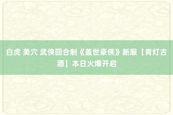 白虎 美穴 武侠回合制《盖世豪侠》新服【青灯古酒】本日火爆开启