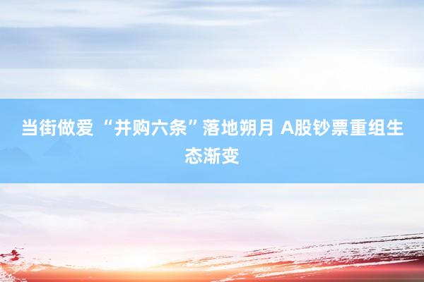 当街做爱 “并购六条”落地朔月 A股钞票重组生态渐变