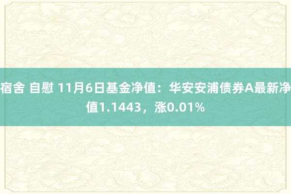宿舍 自慰 11月6日基金净值：华安安浦债券A最新净值1.1443，涨0.01%