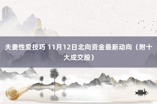 夫妻性爱技巧 11月12日北向资金最新动向（附十大成交股）