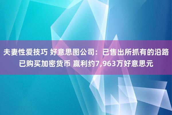 夫妻性爱技巧 好意思图公司：已售出所抓有的沿路已购买加密货币 赢利约7，963万好意思元