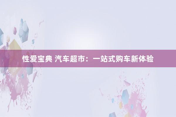 性爱宝典 汽车超市：一站式购车新体验