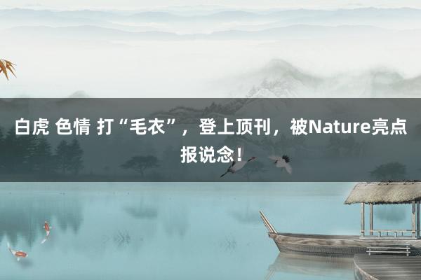 白虎 色情 打“毛衣”，登上顶刊，被Nature亮点报说念！