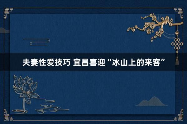 夫妻性爱技巧 宜昌喜迎“冰山上的来客”
