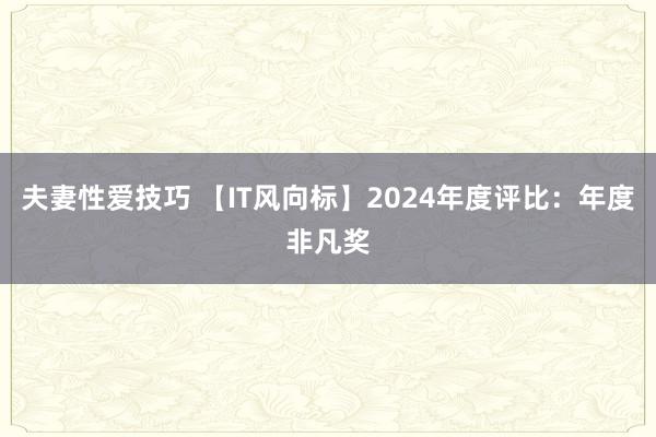 夫妻性爱技巧 【IT风向标】2024年度评比：年度非凡奖