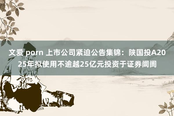 文爱 porn 上市公司紧迫公告集锦：陕国投A2025年拟使用不逾越25亿元投资于证券阛阓
