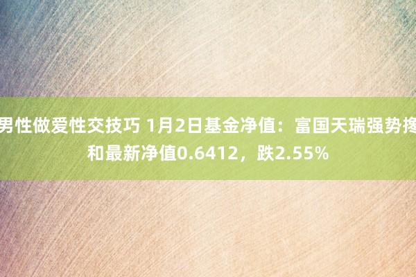 男性做爱性交技巧 1月2日基金净值：富国天瑞强势搀和最新净值0.6412，跌2.55%