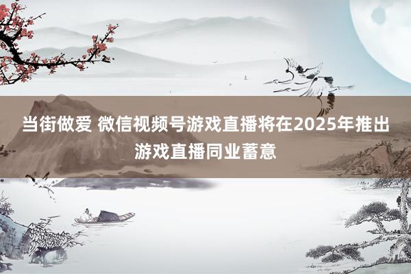 当街做爱 微信视频号游戏直播将在2025年推出游戏直播同业蓄意
