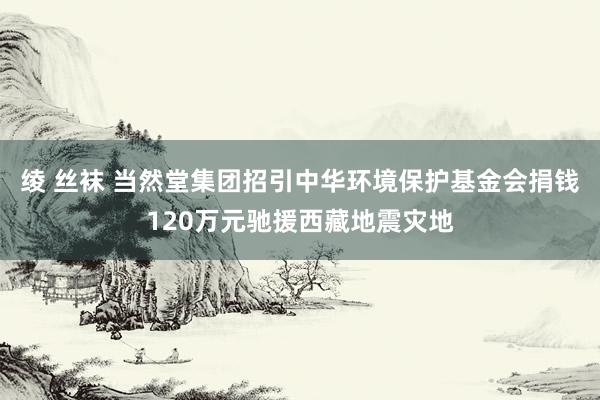 绫 丝袜 当然堂集团招引中华环境保护基金会捐钱120万元驰援西藏地震灾地