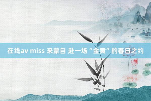 在线av miss 来蒙自 赴一场“金黄”的春日之约