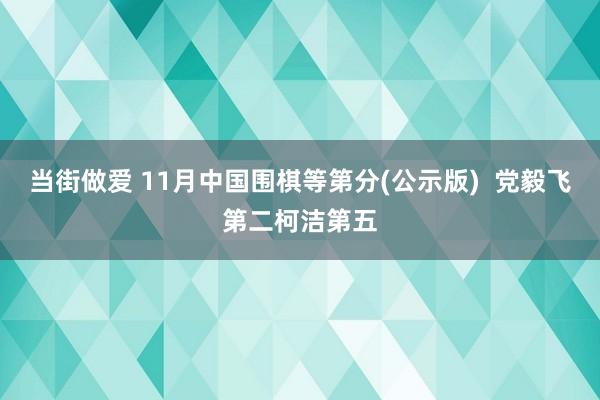 当街做爱 11月中国围棋等第分(公示版)  党毅飞第二柯洁第五
