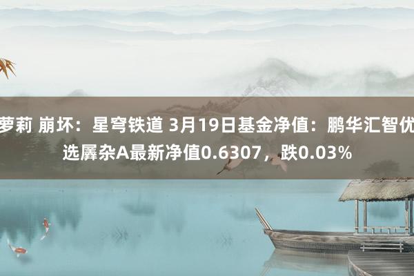 萝莉 崩坏：星穹铁道 3月19日基金净值：鹏华汇智优选羼杂A最新净值0.6307，跌0.03%