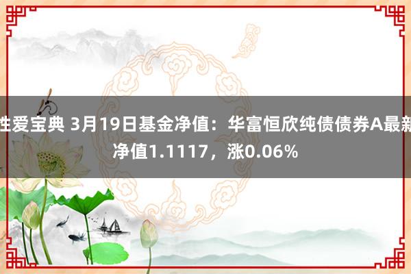 性爱宝典 3月19日基金净值：华富恒欣纯债债券A最新净值1.1117，涨0.06%