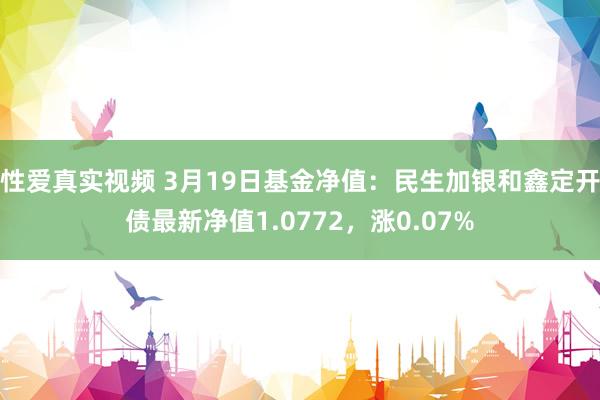 性爱真实视频 3月19日基金净值：民生加银和鑫定开债最新净值1.0772，涨0.07%