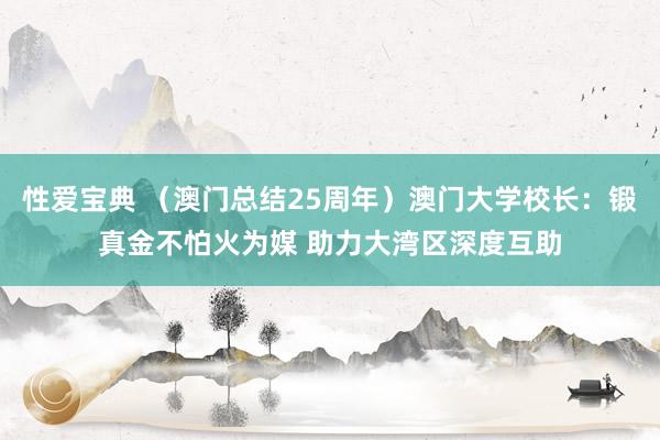 性爱宝典 （澳门总结25周年）澳门大学校长：锻真金不怕火为媒 助力大湾区深度互助