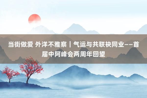 当街做爱 外洋不雅察｜气运与共　联袂同业——首届中阿峰会两周年回望