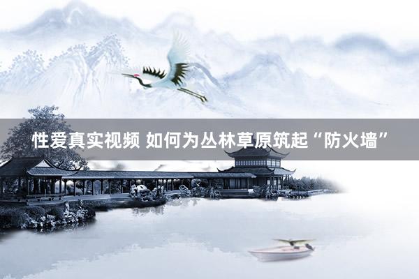 性爱真实视频 如何为丛林草原筑起“防火墙”