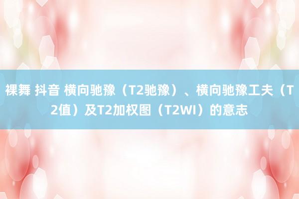 裸舞 抖音 横向驰豫（T2驰豫）、横向驰豫工夫（T2值）及T2加权图（T2WI）的意志