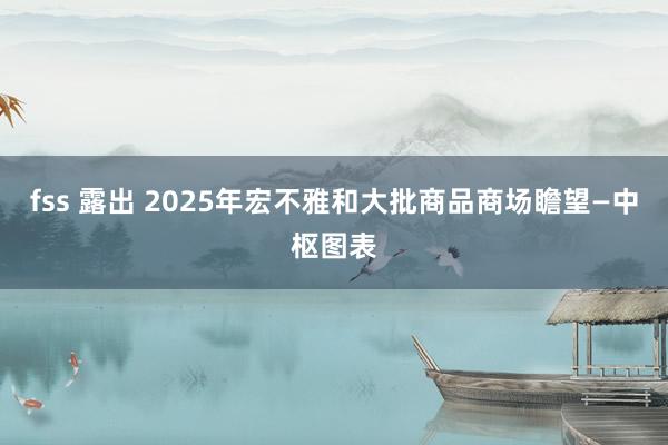 fss 露出 2025年宏不雅和大批商品商场瞻望—中枢图表