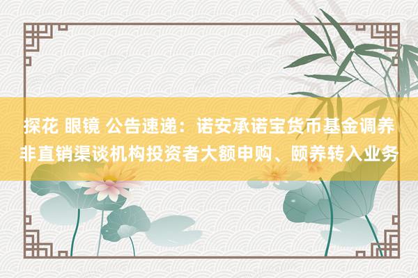 探花 眼镜 公告速递：诺安承诺宝货币基金调养非直销渠谈机构投资者大额申购、颐养转入业务