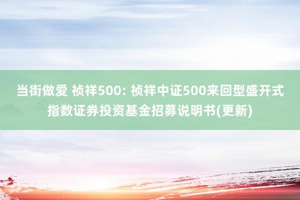 当街做爱 祯祥500: 祯祥中证500来回型盛开式指数证券投资基金招募说明书(更新)