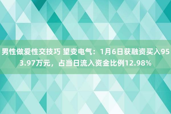 男性做爱性交技巧 望变电气：1月6日获融资买入953.97万元，占当日流入资金比例12.98%
