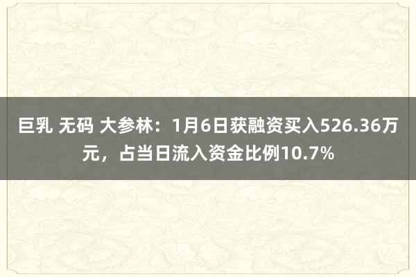 巨乳 无码 大参林：1月6日获融资买入526.36万元，占当日流入资金比例10.7%