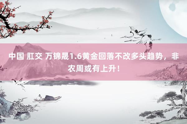 中国 肛交 万锦晟1.6黄金回落不改多头趋势，非农周或有上升！