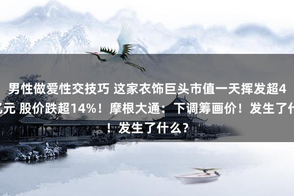 男性做爱性交技巧 这家衣饰巨头市值一天挥发超400亿元 股价跌超14%！摩根大通：下调筹画价！发生了什么？