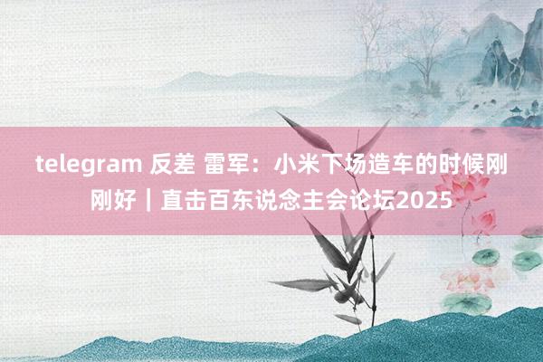 telegram 反差 雷军：小米下场造车的时候刚刚好｜直击百东说念主会论坛2025