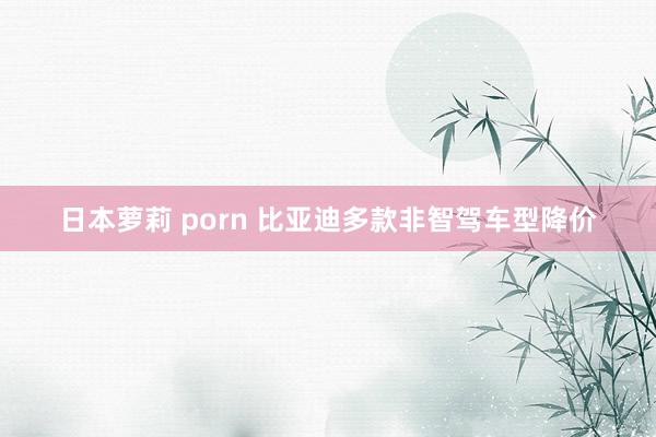 日本萝莉 porn 比亚迪多款非智驾车型降价