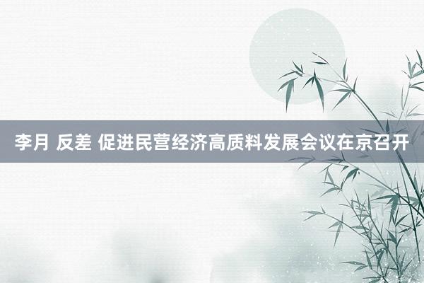 李月 反差 促进民营经济高质料发展会议在京召开