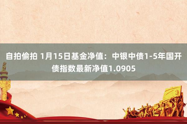 自拍偷拍 1月15日基金净值：中银中债1-5年国开债指数最新净值1.0905
