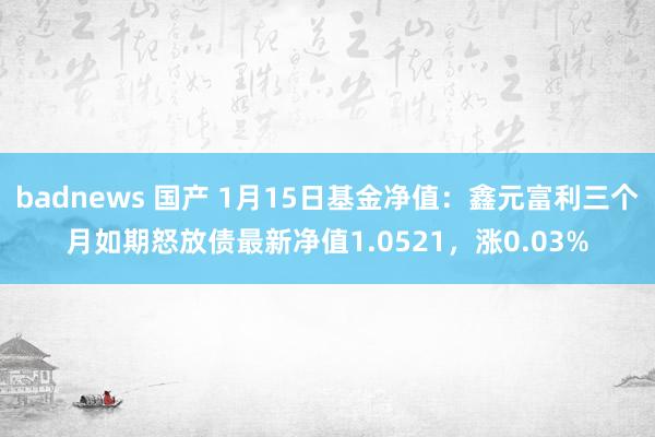 badnews 国产 1月15日基金净值：鑫元富利三个月如期怒放债最新净值1.0521，涨0.03%