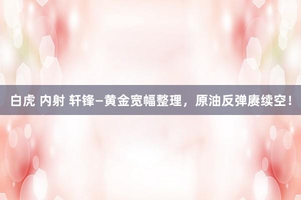 白虎 内射 轩锋—黄金宽幅整理，原油反弹赓续空！