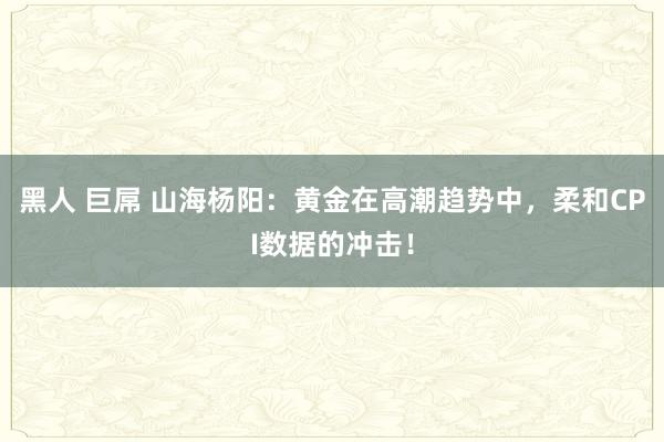 黑人 巨屌 山海杨阳：黄金在高潮趋势中，柔和CPI数据的冲击！