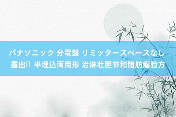 パナソニック 分電盤 リミッタースペースなし 露出・半埋込両用形 治淋壮胆节和脂肪瘤验方