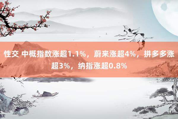 性交 中概指数涨超1.1%，蔚来涨超4%，拼多多涨超3%，纳指涨超0.8%