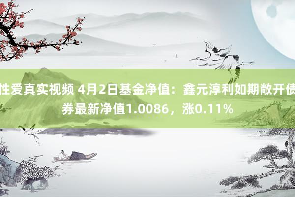 性爱真实视频 4月2日基金净值：鑫元淳利如期敞开债券最新净值1.0086，涨0.11%