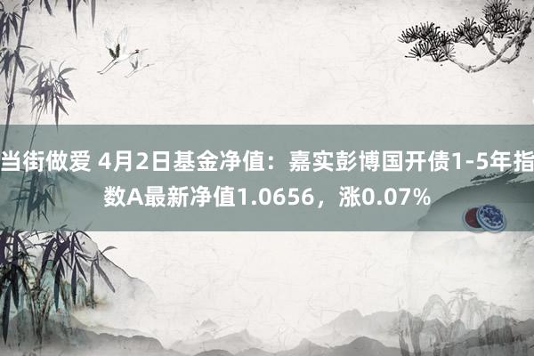 当街做爱 4月2日基金净值：嘉实彭博国开债1-5年指数A最新净值1.0656，涨0.07%