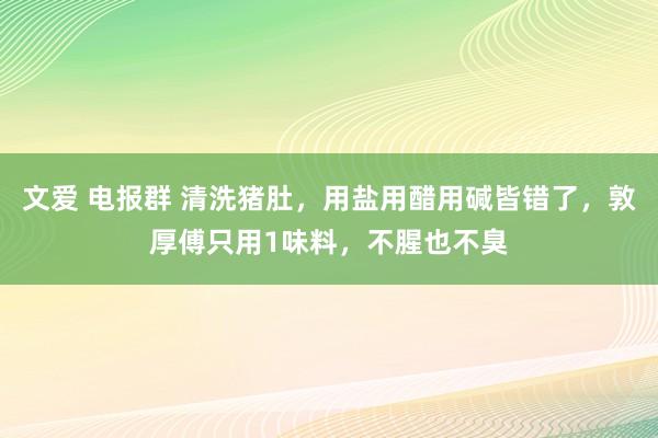 文爱 电报群 清洗猪肚，用盐用醋用碱皆错了，敦厚傅只用1味料，不腥也不臭