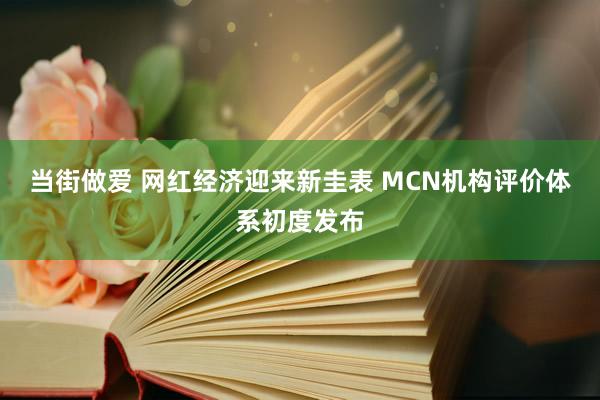 当街做爱 网红经济迎来新圭表 MCN机构评价体系初度发布