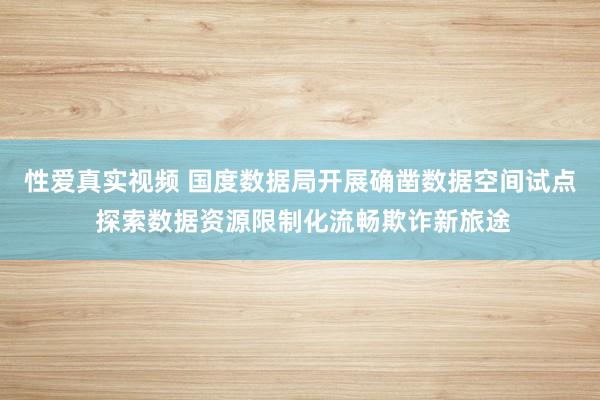 性爱真实视频 国度数据局开展确凿数据空间试点 探索数据资源限制化流畅欺诈新旅途