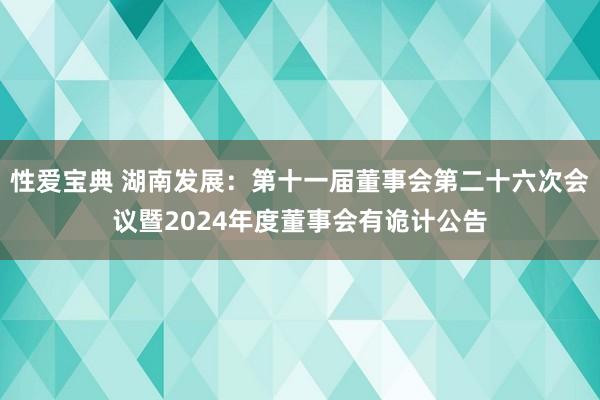性爱宝典 湖南发展：第十一届董事会第二十六次会议暨2024年度董事会有诡计公告