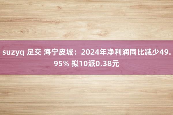 suzyq 足交 海宁皮城：2024年净利润同比减少49.95% 拟10派0.38元