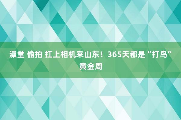澡堂 偷拍 扛上相机来山东！365天都是“打鸟”黄金周