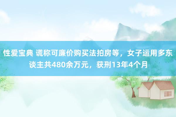 性爱宝典 谎称可廉价购买法拍房等，女子运用多东谈主共480余万元，获刑13年4个月