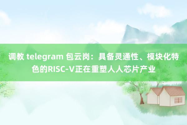 调教 telegram 包云岗：具备灵通性、模块化特色的RISC-V正在重塑人人芯片产业