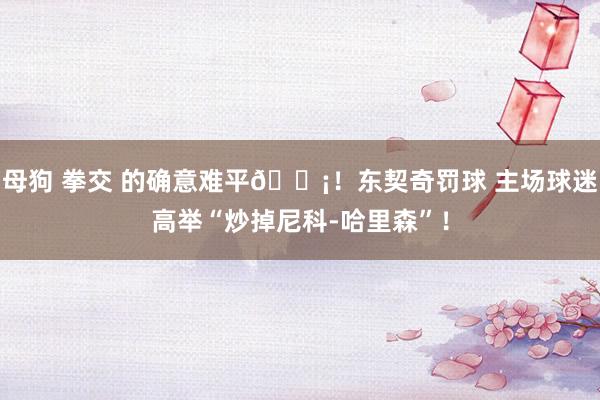 母狗 拳交 的确意难平😡！东契奇罚球 主场球迷高举“炒掉尼科-哈里森”！