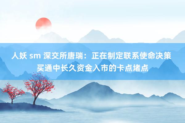 人妖 sm 深交所唐瑞：正在制定联系使命决策 买通中长久资金入市的卡点堵点
